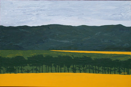 MUSTARD FIELDS OF SCOTLAND