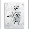 RACOONS