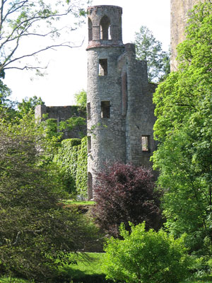 BLARNEY-CASTLE