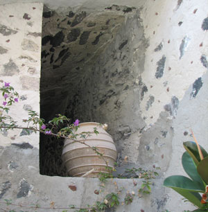 VASE-IN-WINDOW